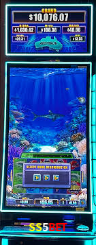 SS5bet: A Experiência de Casino com Jogos de Mesa ao Vivo